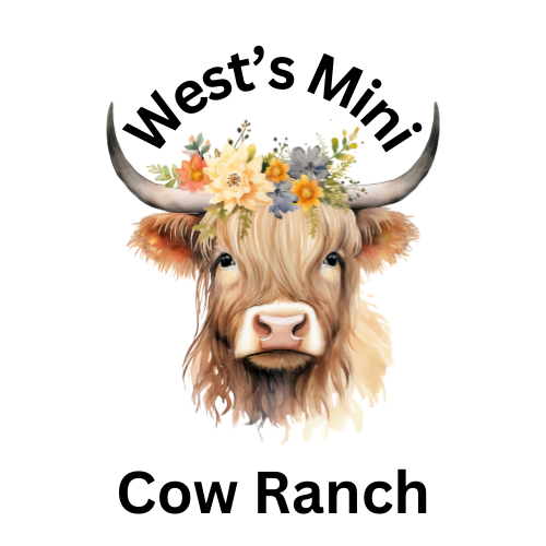 Mini Cows For Sale